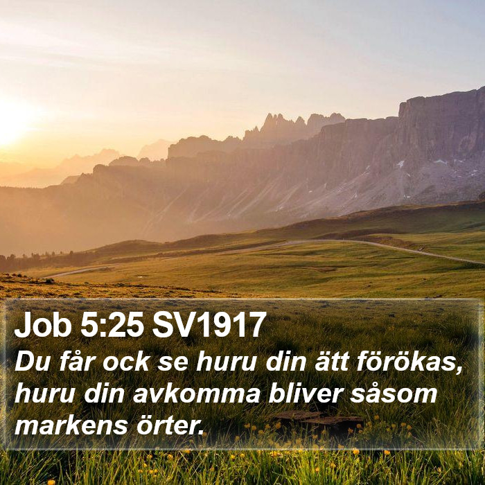 Job 5:25 SV1917 Bible Study