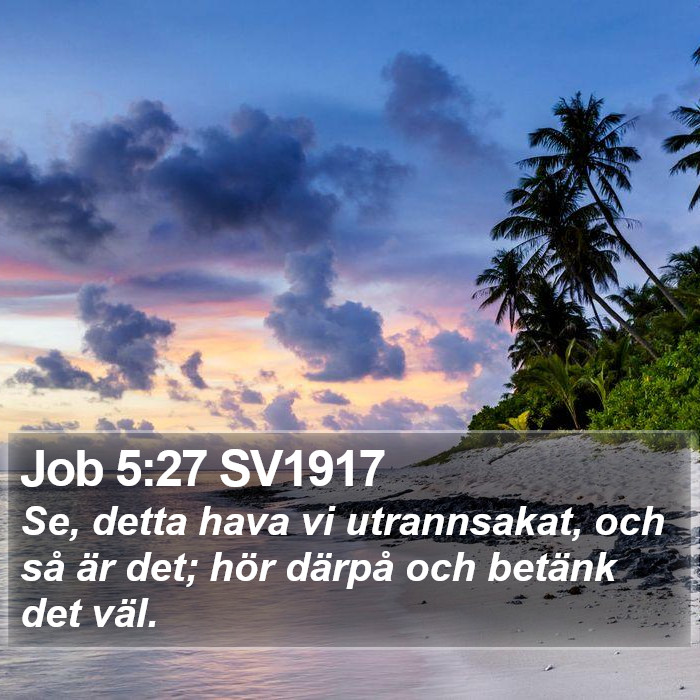 Job 5:27 SV1917 Bible Study