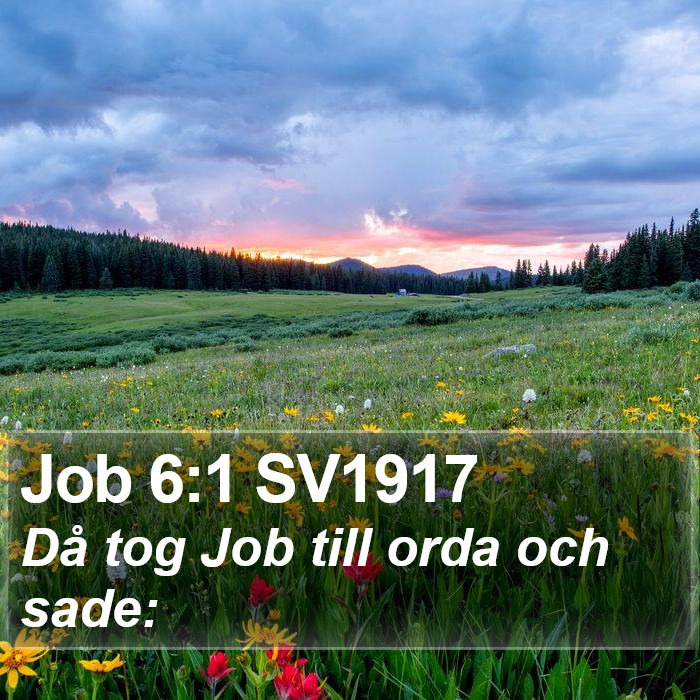 Job 6:1 SV1917 Bible Study