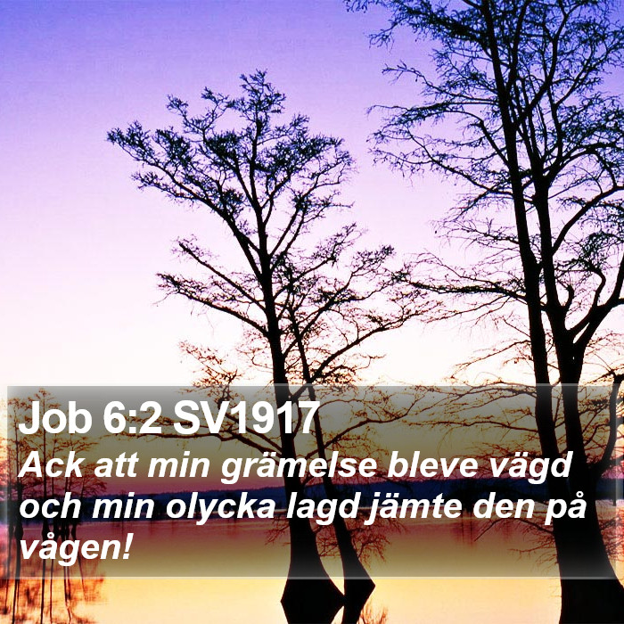 Job 6:2 SV1917 Bible Study