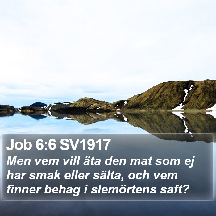 Job 6:6 SV1917 Bible Study