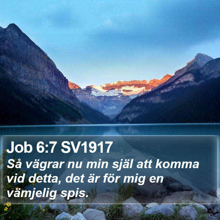 Job 6:7 SV1917 Bible Study