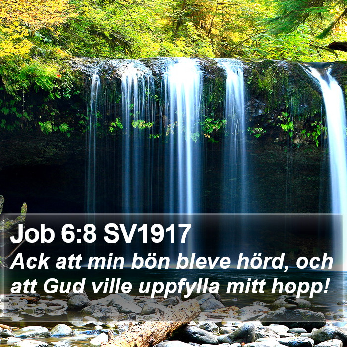 Job 6:8 SV1917 Bible Study