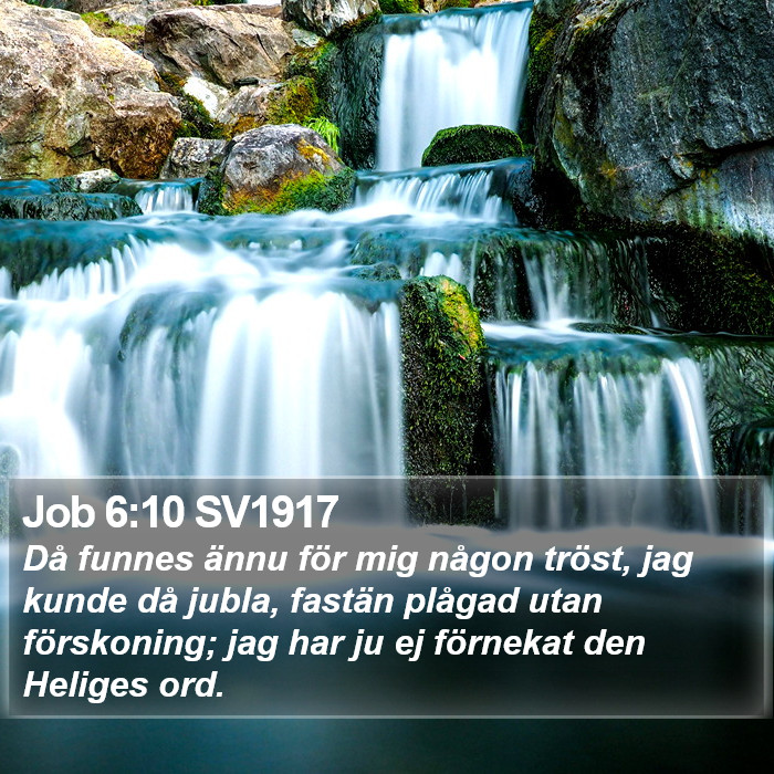 Job 6:10 SV1917 Bible Study