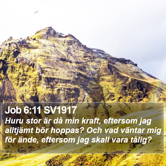 Job 6:11 SV1917 Bible Study