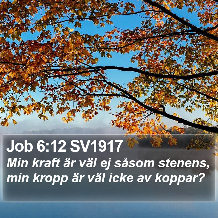 Job 6:12 SV1917 Bible Study