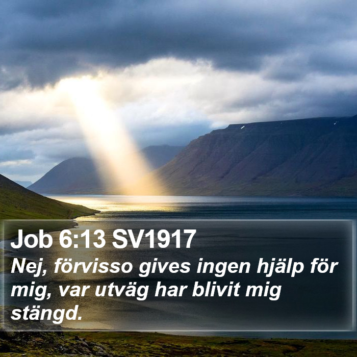 Job 6:13 SV1917 Bible Study