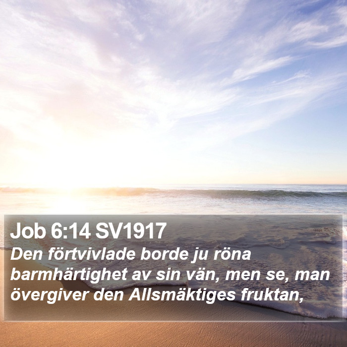 Job 6:14 SV1917 Bible Study