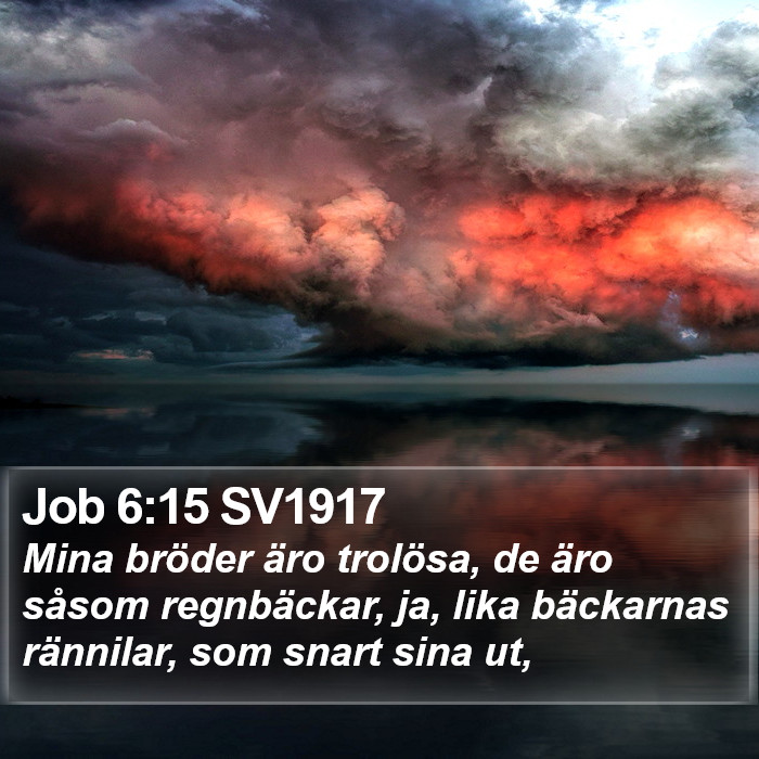 Job 6:15 SV1917 Bible Study