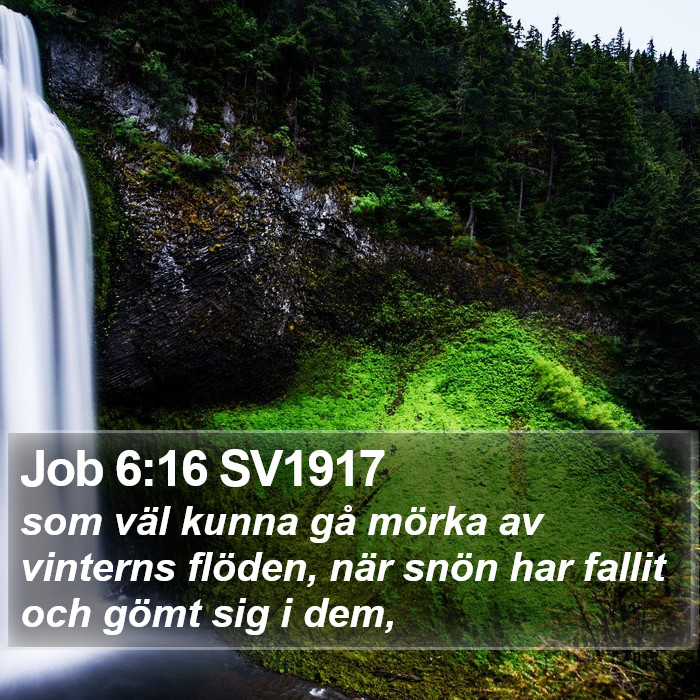 Job 6:16 SV1917 Bible Study