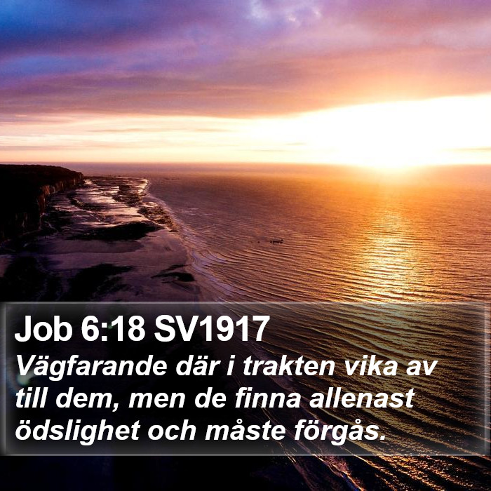 Job 6:18 SV1917 Bible Study