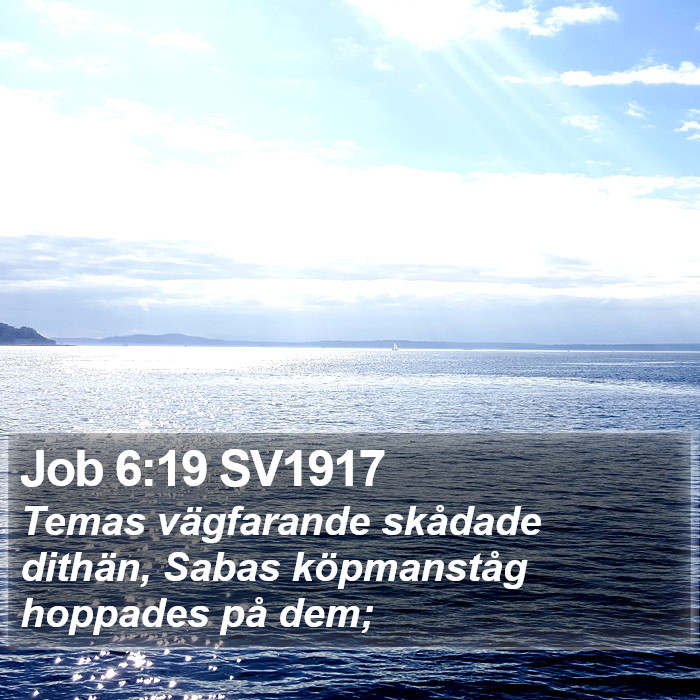 Job 6:19 SV1917 Bible Study