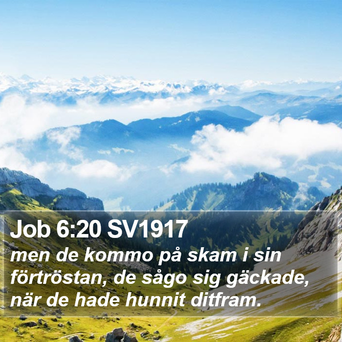 Job 6:20 SV1917 Bible Study