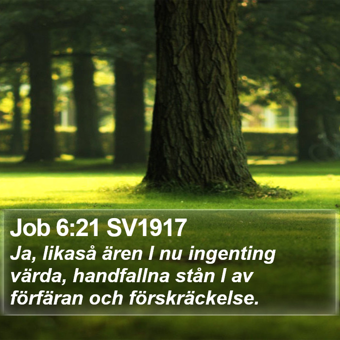 Job 6:21 SV1917 Bible Study