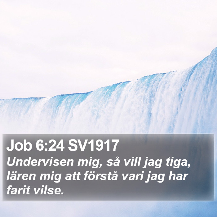 Job 6:24 SV1917 Bible Study