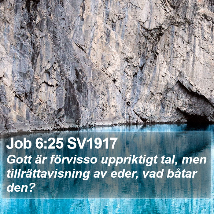 Job 6:25 SV1917 Bible Study