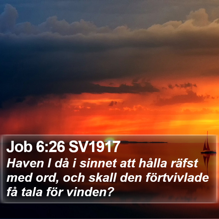 Job 6:26 SV1917 Bible Study