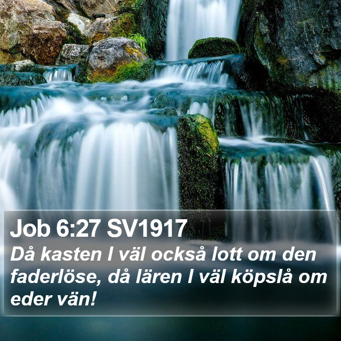 Job 6:27 SV1917 Bible Study