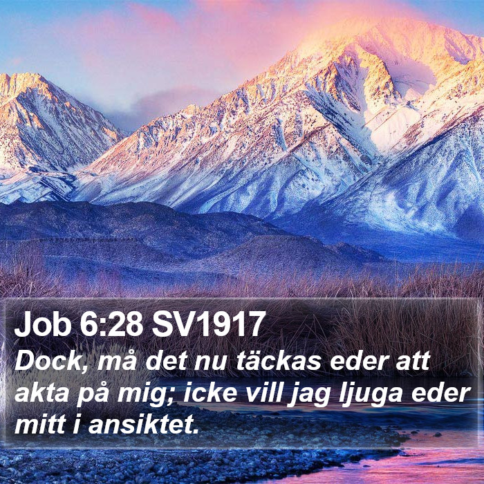 Job 6:28 SV1917 Bible Study