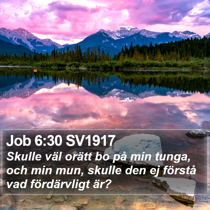 Job 6:30 SV1917 Bible Study