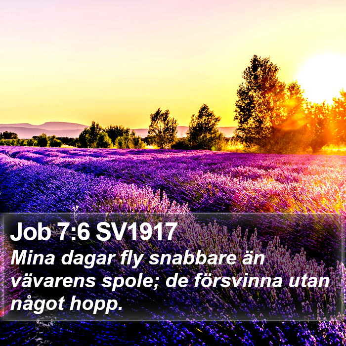 Job 7:6 SV1917 Bible Study