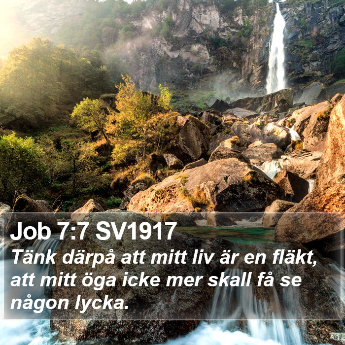 Job 7:7 SV1917 Bible Study