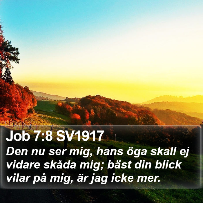 Job 7:8 SV1917 Bible Study
