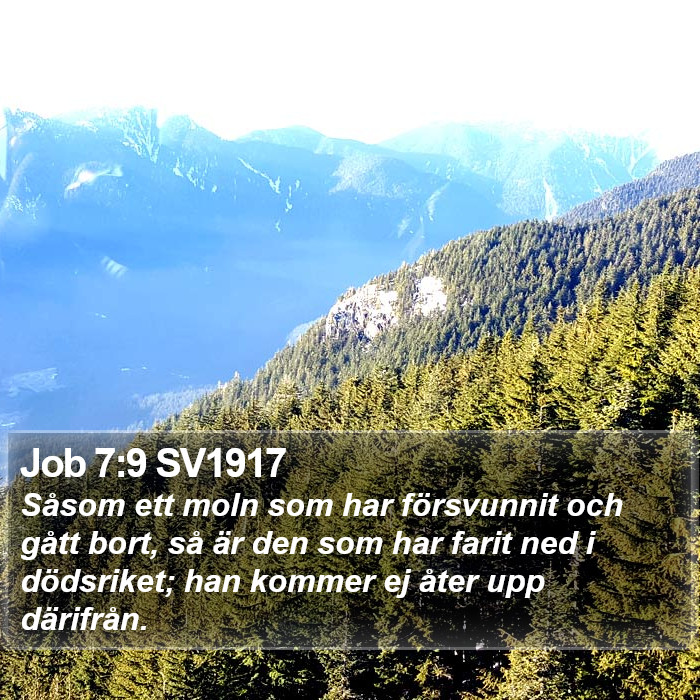 Job 7:9 SV1917 Bible Study