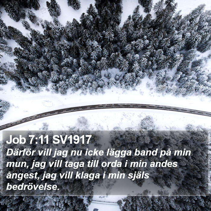Job 7:11 SV1917 Bible Study