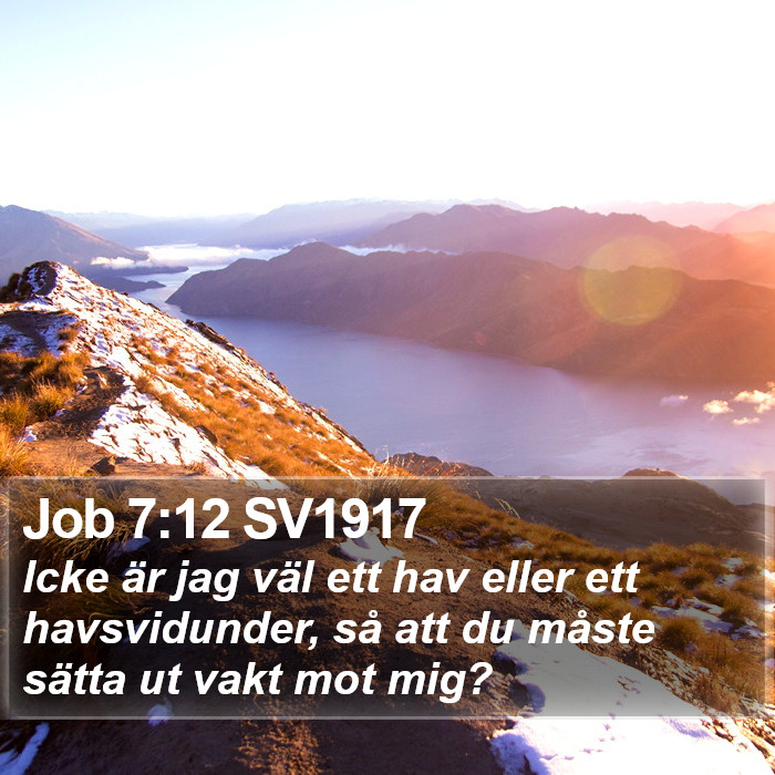 Job 7:12 SV1917 Bible Study