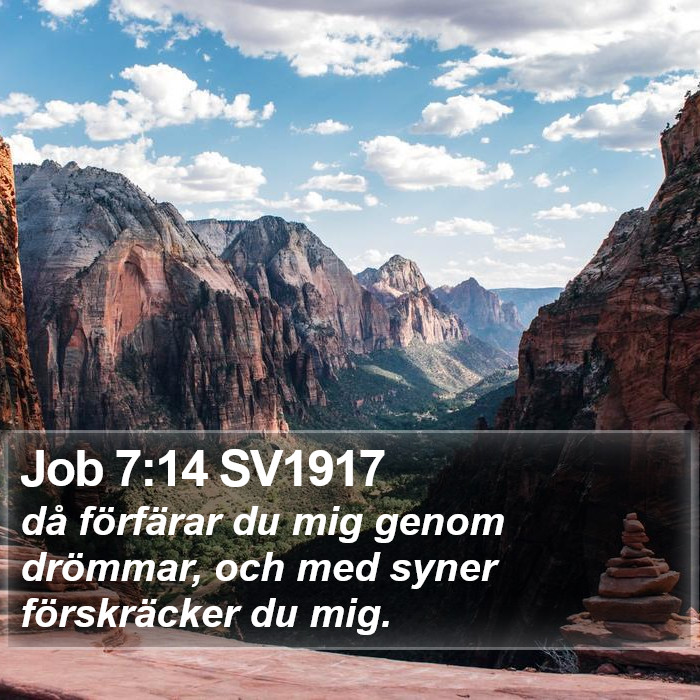 Job 7:14 SV1917 Bible Study