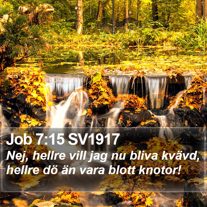 Job 7:15 SV1917 Bible Study