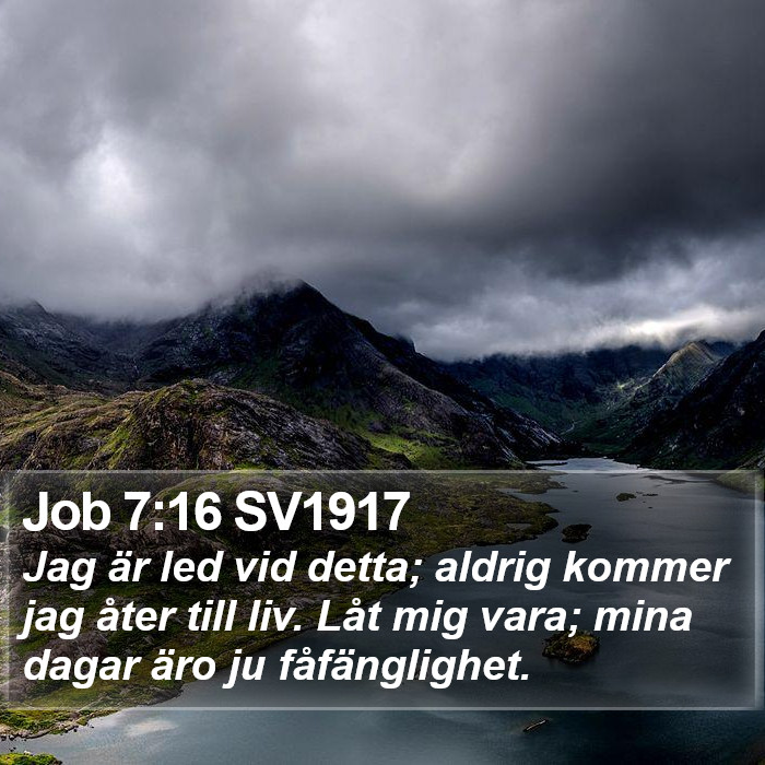 Job 7:16 SV1917 Bible Study