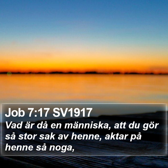 Job 7:17 SV1917 Bible Study