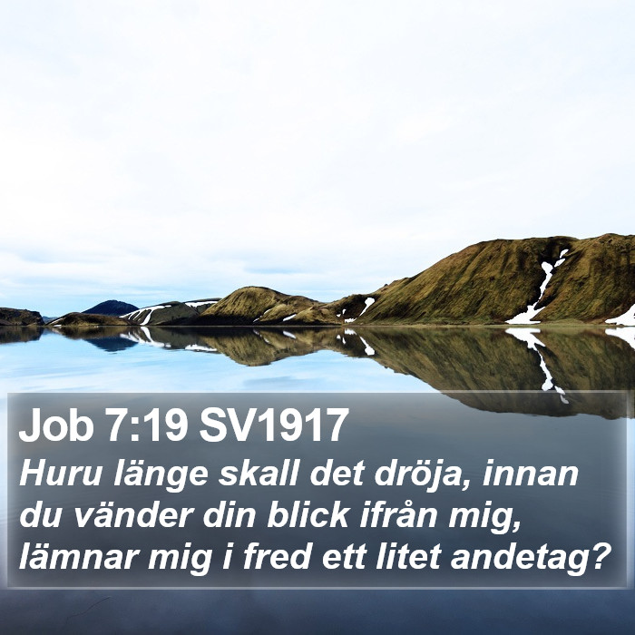 Job 7:19 SV1917 Bible Study