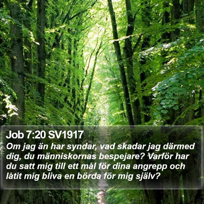 Job 7:20 SV1917 Bible Study