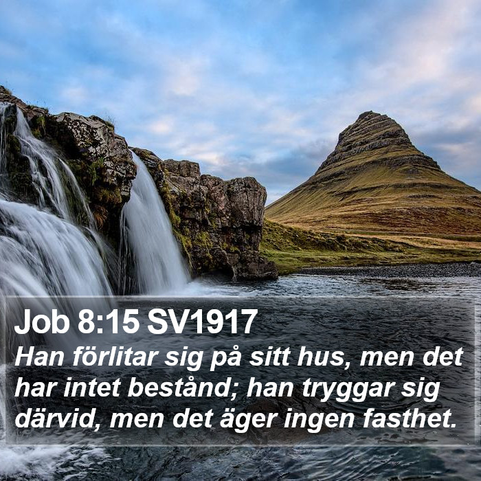 Job 8:15 SV1917 Bible Study
