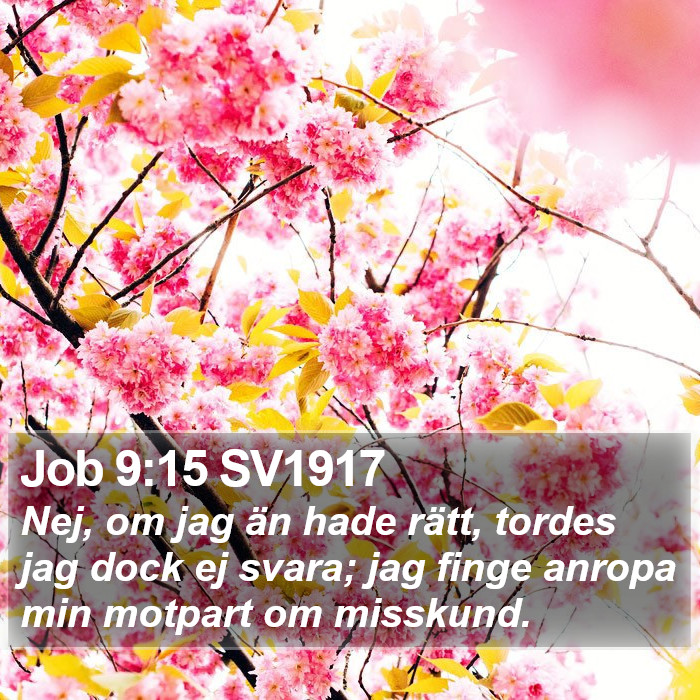 Job 9:15 SV1917 Bible Study