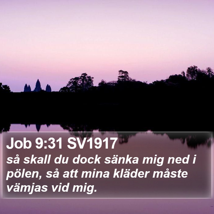 Job 9:31 SV1917 Bible Study