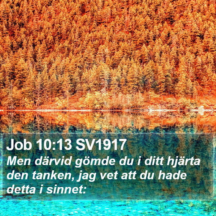 Job 10:13 SV1917 Bible Study