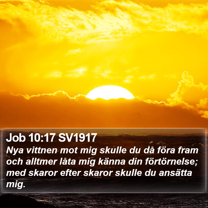 Job 10:17 SV1917 Bible Study