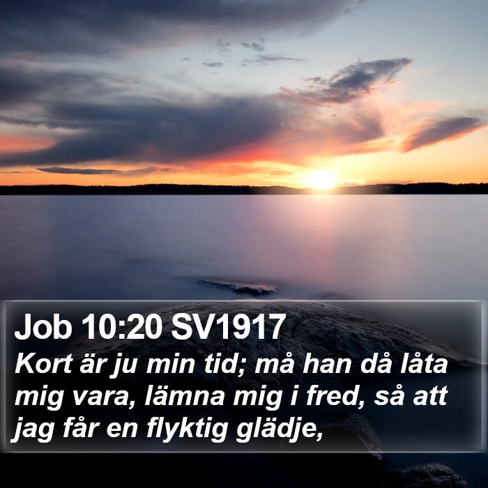 Job 10:20 SV1917 Bible Study