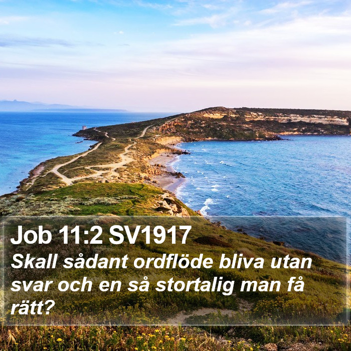 Job 11:2 SV1917 Bible Study