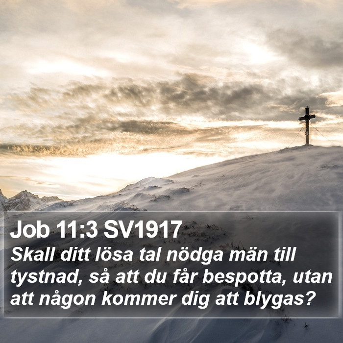 Job 11:3 SV1917 Bible Study