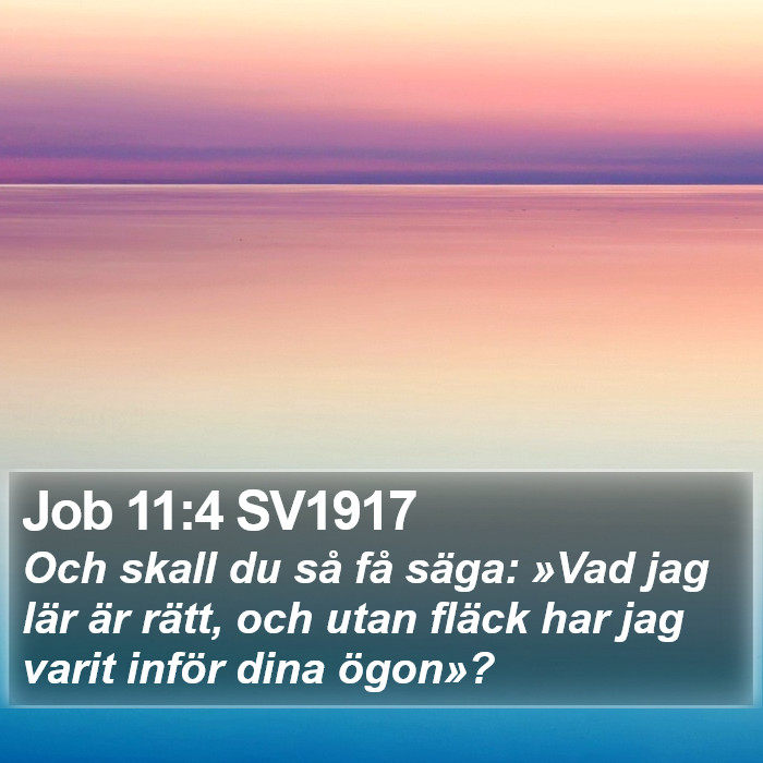 Job 11:4 SV1917 Bible Study