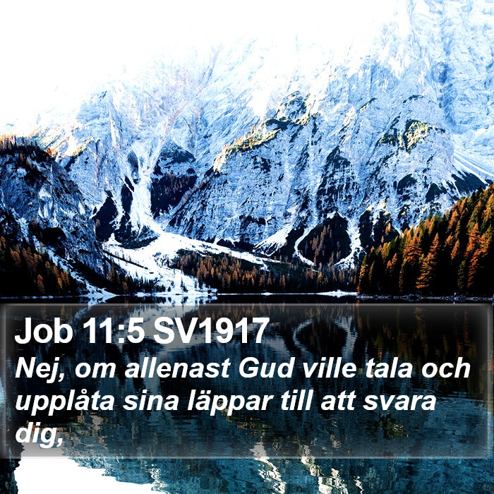 Job 11:5 SV1917 Bible Study