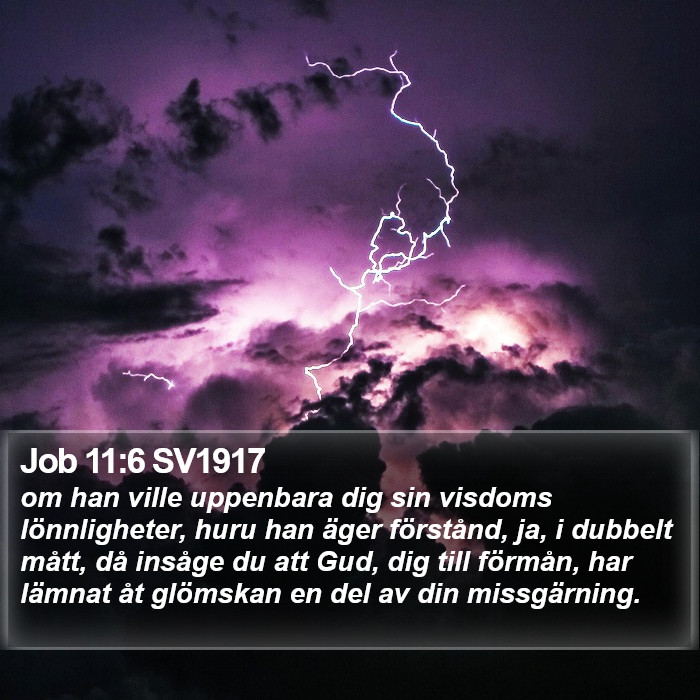 Job 11:6 SV1917 Bible Study