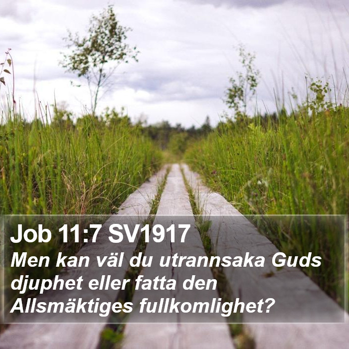 Job 11:7 SV1917 Bible Study