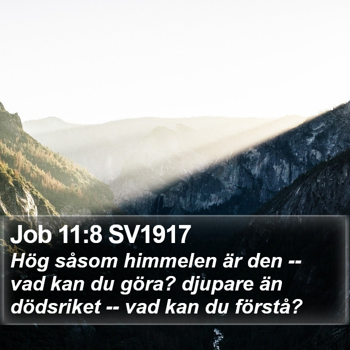 Job 11:8 SV1917 Bible Study