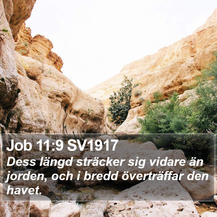 Job 11:9 SV1917 Bible Study